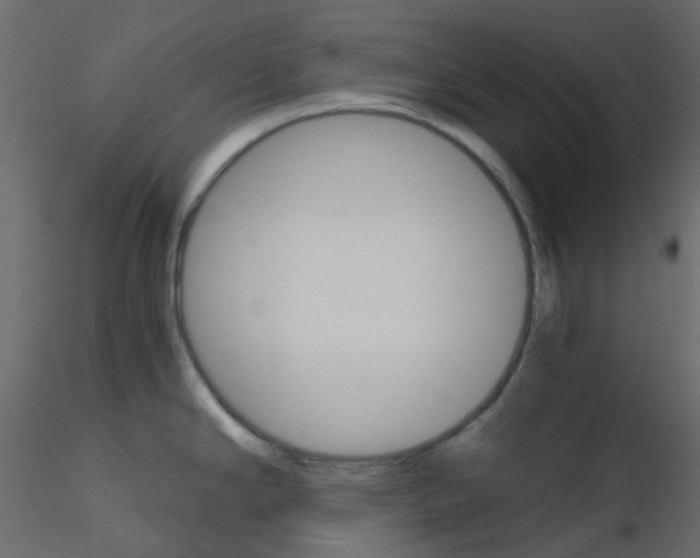 X0000115701294200912241515