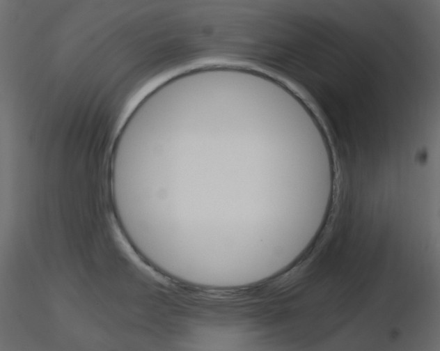 X0000115701295200912241515