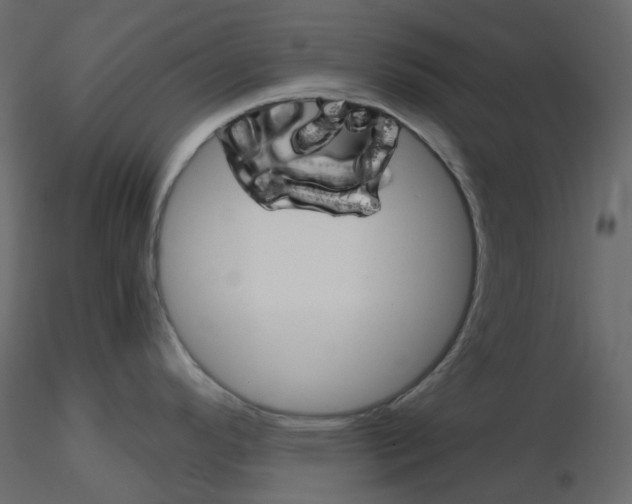 X0000115701296200912241515