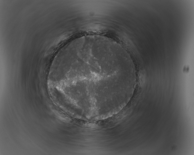 X0000115701297200912241514