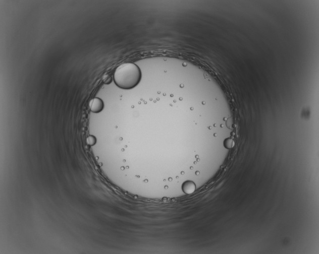 X0000115701299200912241514