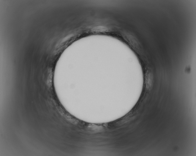 X0000115701301200912241514