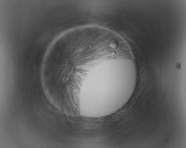 X0000115701302200912241514