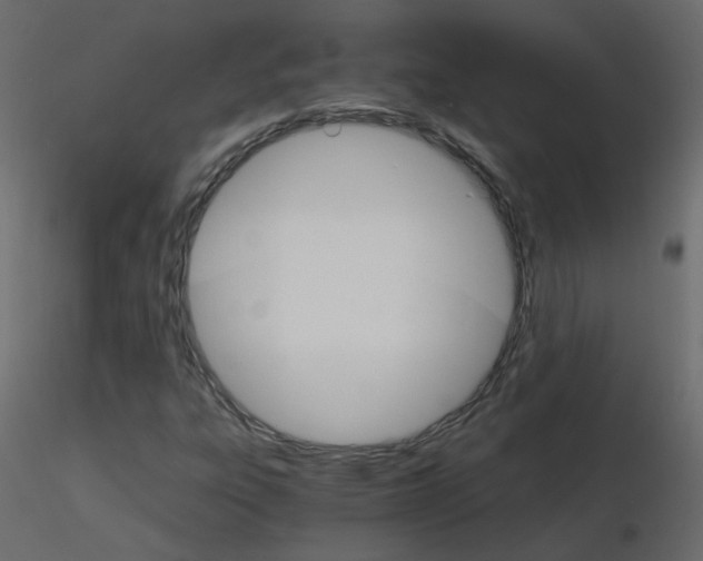 X0000115701303200912241514