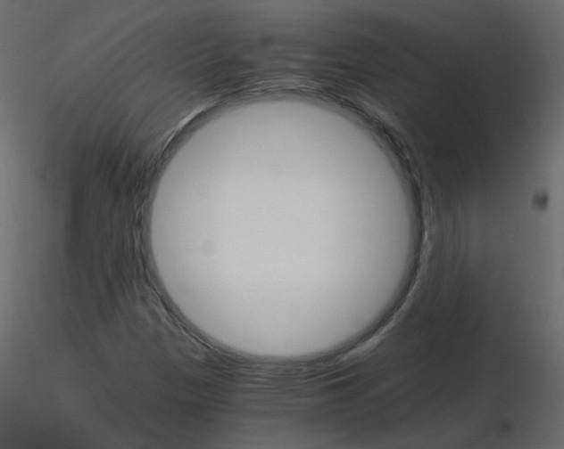 X0000115701305200912241514