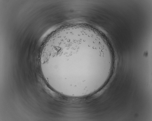 X0000115701306200912241514