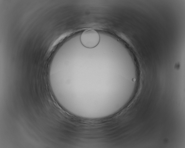 X0000115701307200912241514