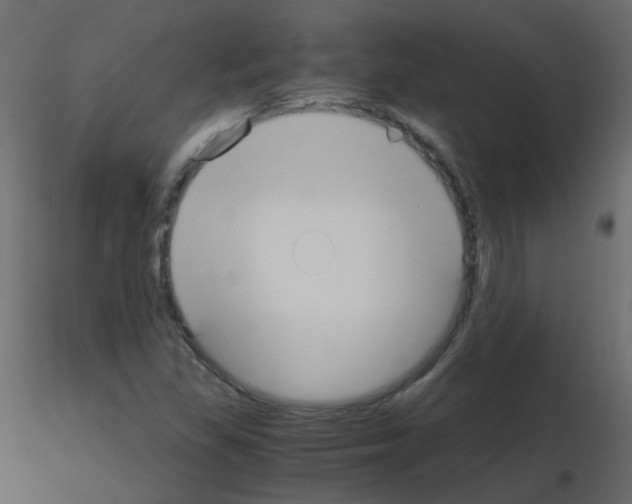 X0000115701309200912241514