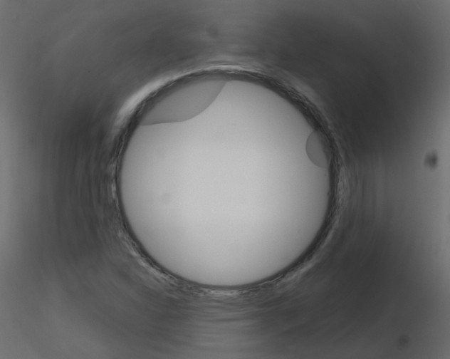 X0000115701310200912241514