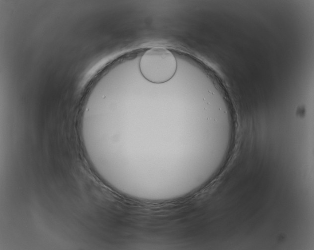 X0000115701311200912241514