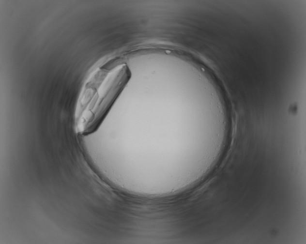 X0000115701314200912241514