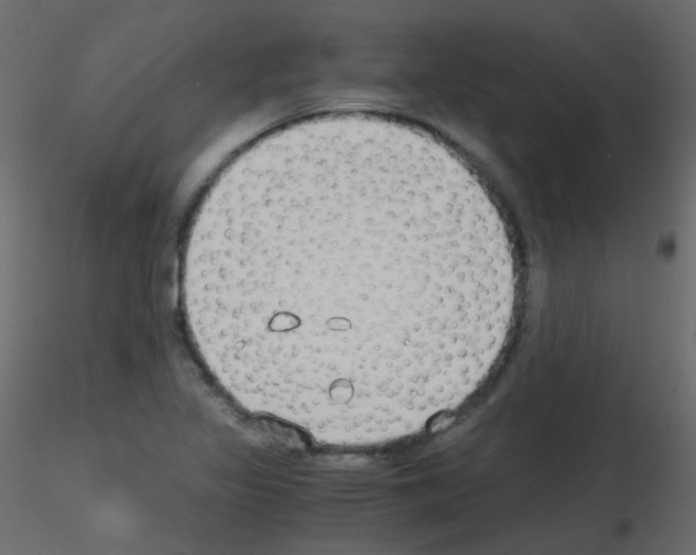 X0000115701317200912241514