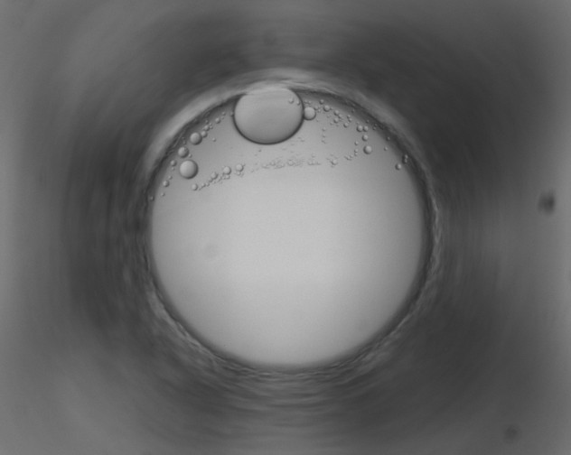 X0000115701318200912241514