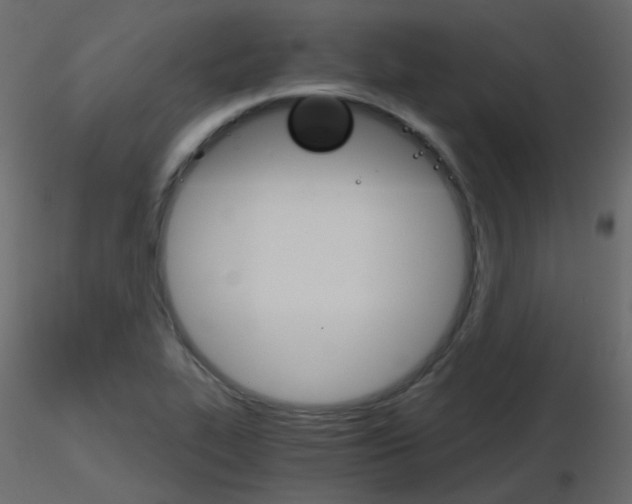 X0000115701319200912241514