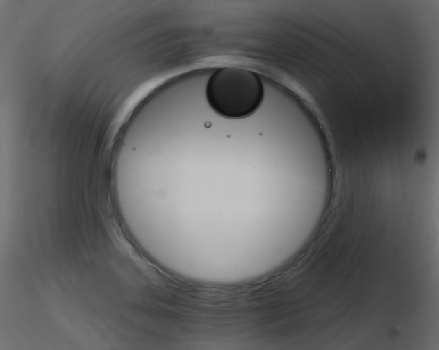 X0000115701323200912241514