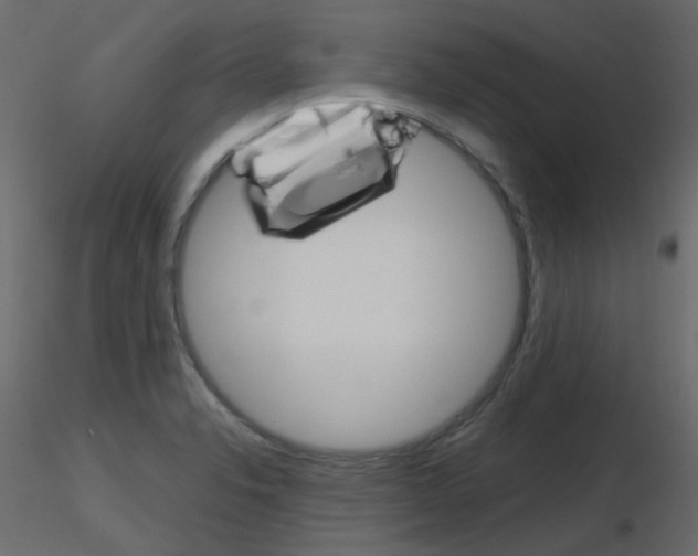 X0000115701326200912241514