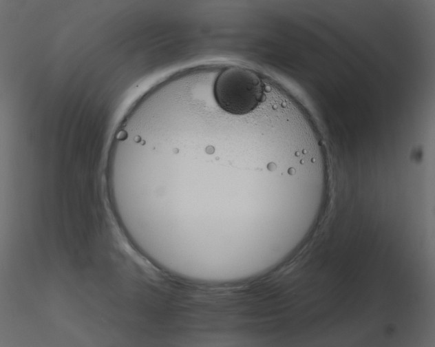 X0000115701327200912241514