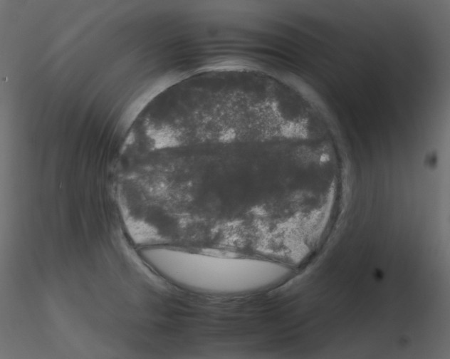 X0000115701329200912241514