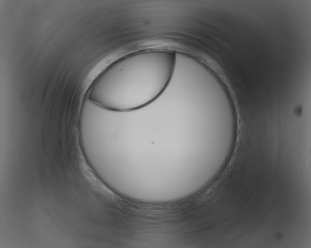 X0000115701330200912241514