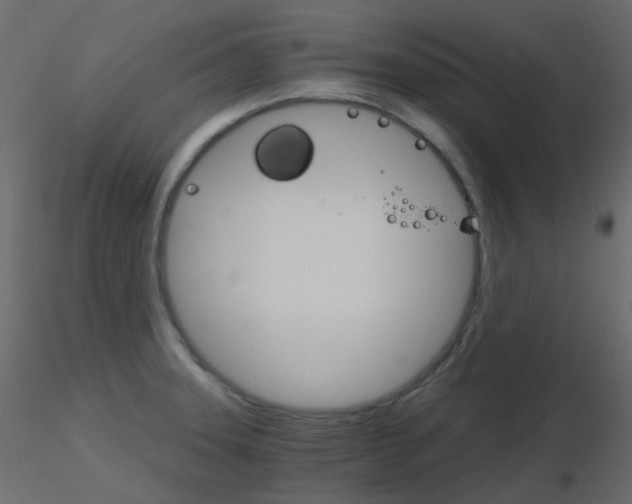 X0000115701331200912241514