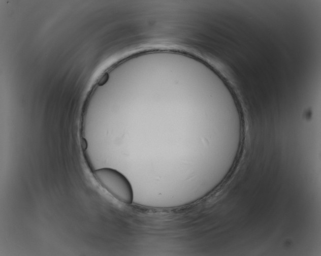 X0000115701334200912241514