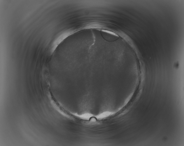 X0000115701337200912241515