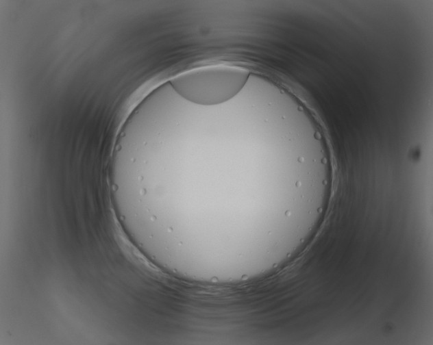 X0000115701338200912241515