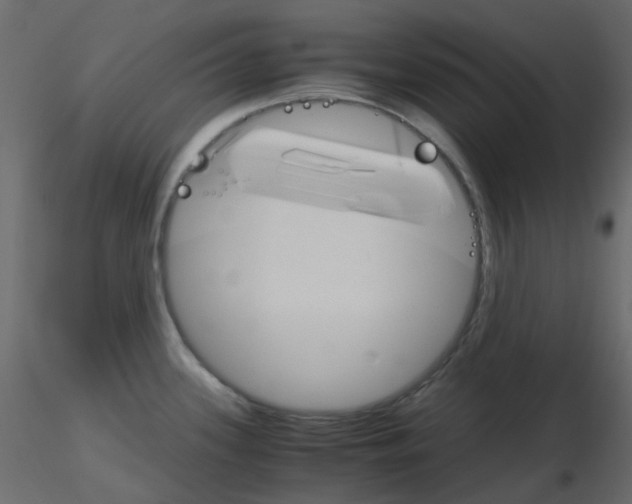 X0000115701339200912241515