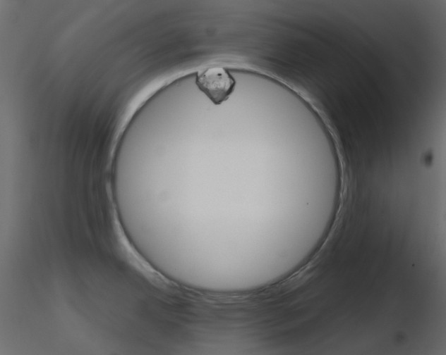 X0000115701342200912241515