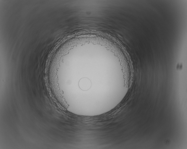 X0000115701345200912241514