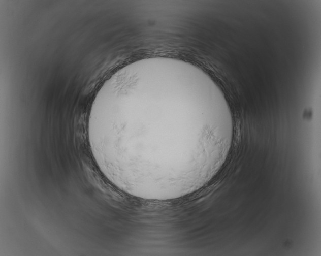 X0000115701346200912241514