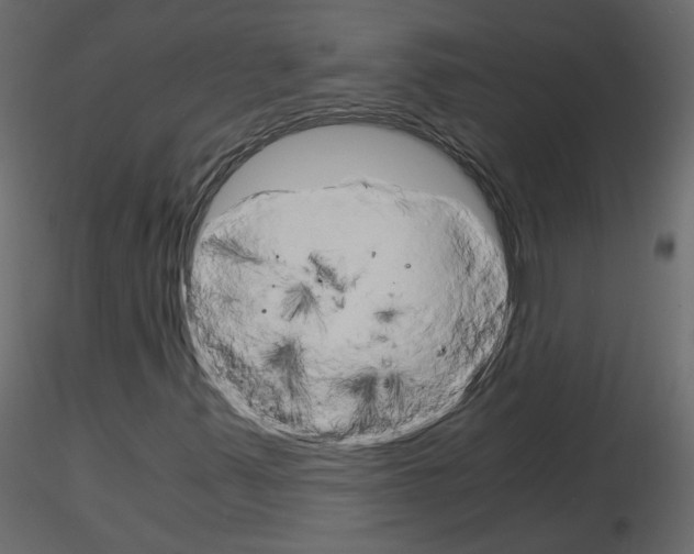 X0000115701347200912241514