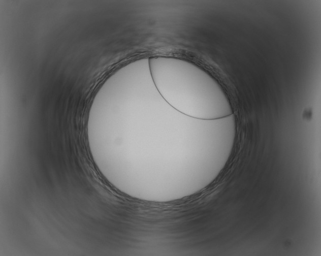 X0000115701348200912241514