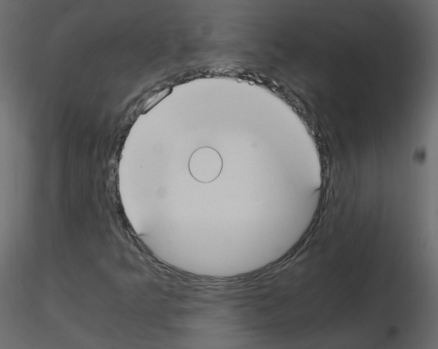 X0000115701349200912241514