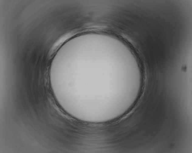 X0000115701354200912241514