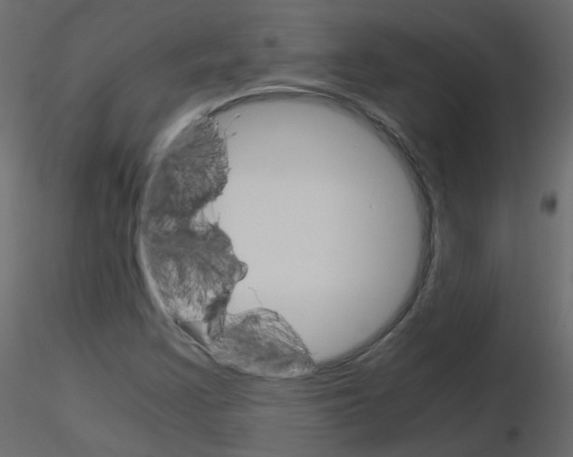 X0000115701355200912241514