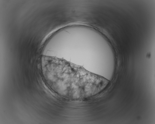 X0000115701356200912241514