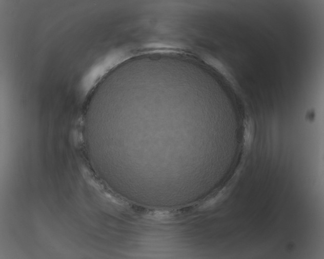 X0000115701357200912241514