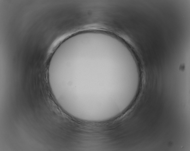 X0000115701358200912241514