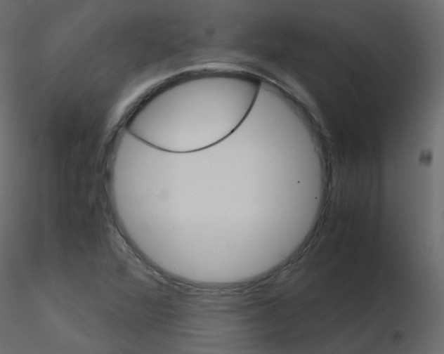 X0000115701360200912241514