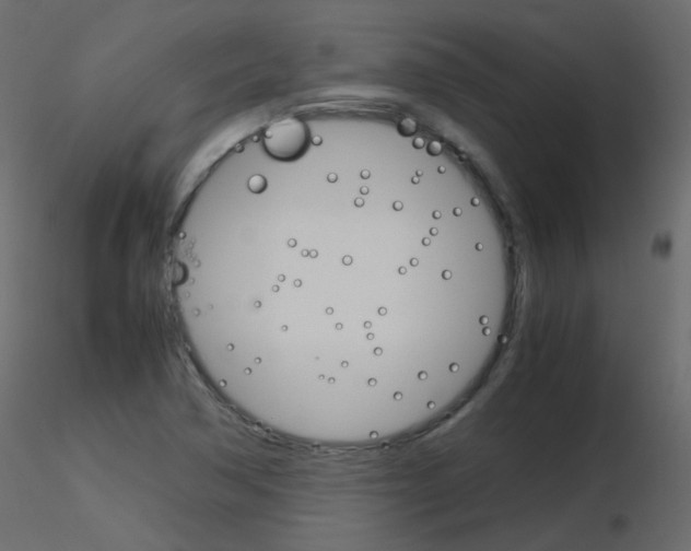 X0000115701362200912241514