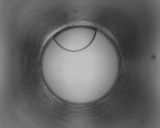 X0000115701364200912241514