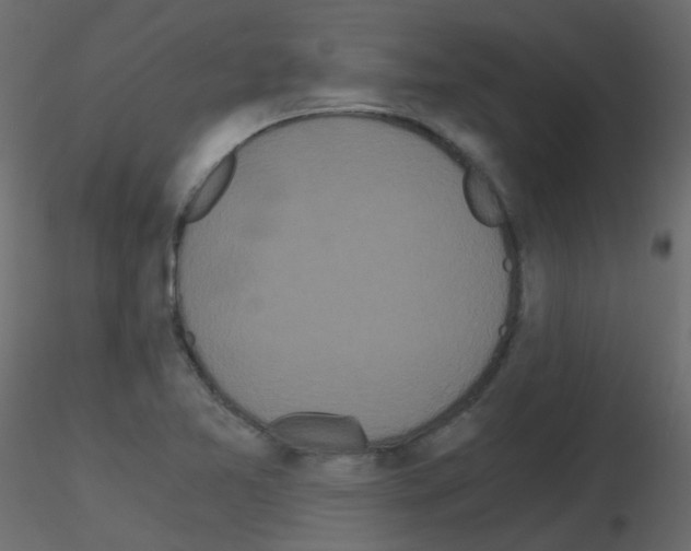 X0000115701365200912241514