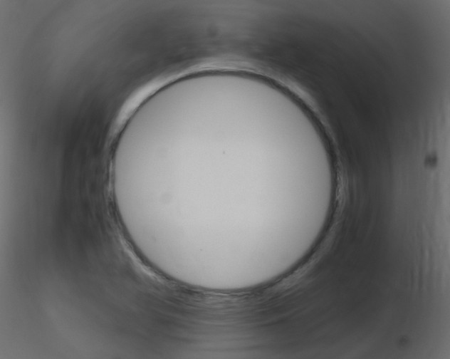 X0000115701366200912241514