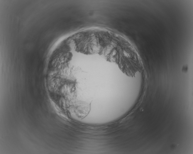 X0000115701367200912241514