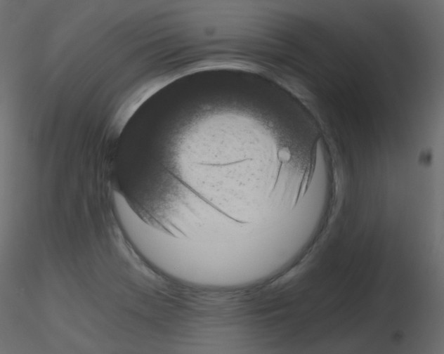 X0000115701369200912241514