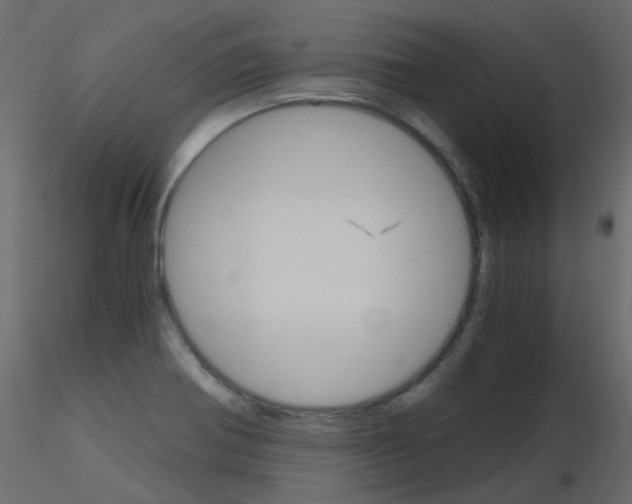 X0000115701370200912241514