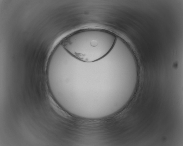 X0000115701372200912241514