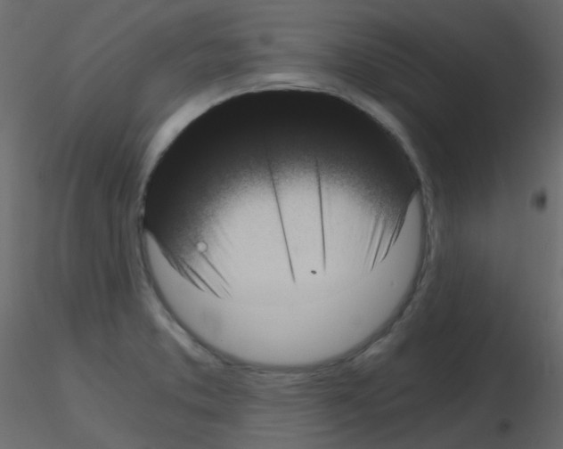 X0000115701373200912241514