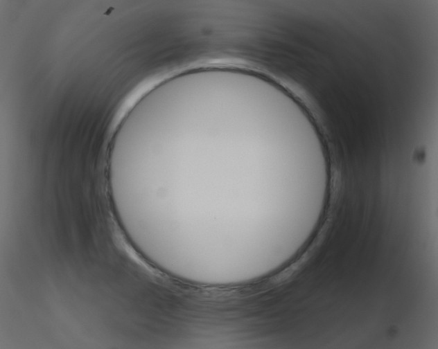 X0000115701374200912241514